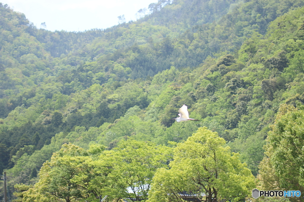 純白空へ