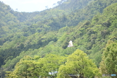 純白空へ