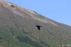 飛行