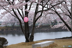 pink＆ピンク