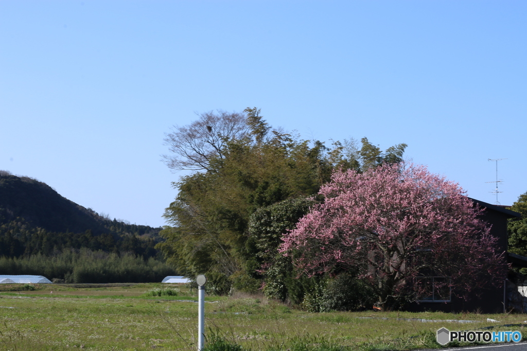 ここで君を待つ