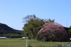 ここで君を待つ