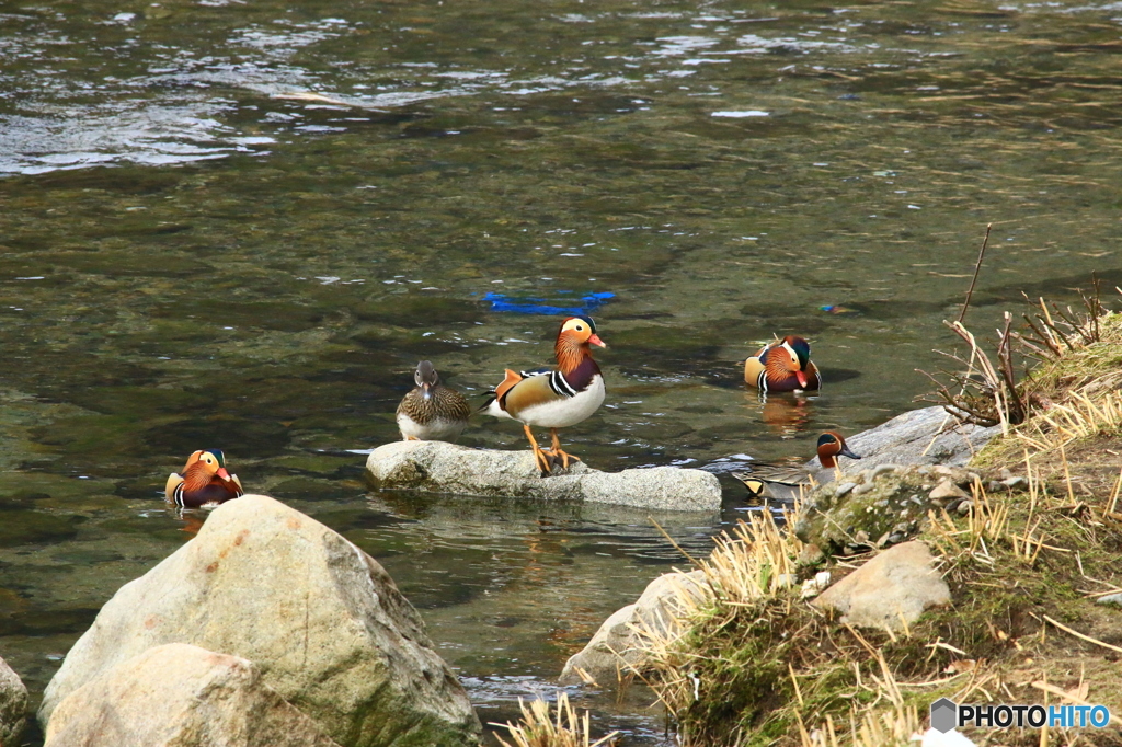 俺についてこい