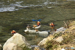 俺についてこい