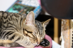 お気に入りの場所