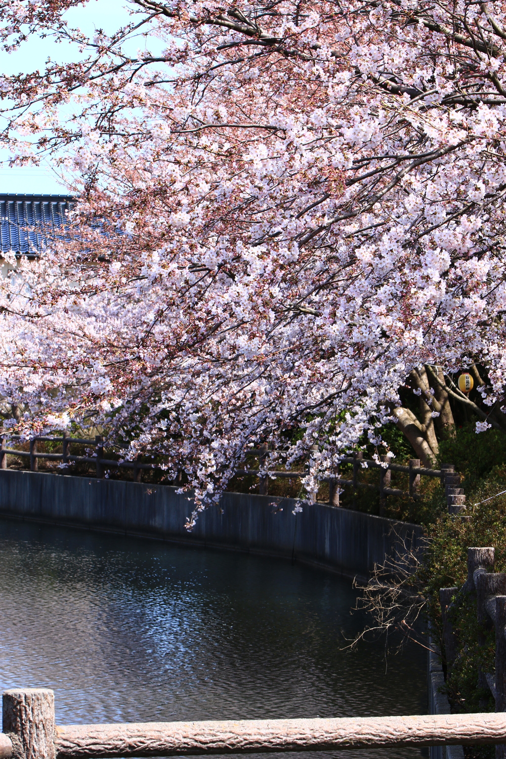 さわやかな日々
