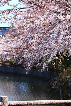 さわやかな日々