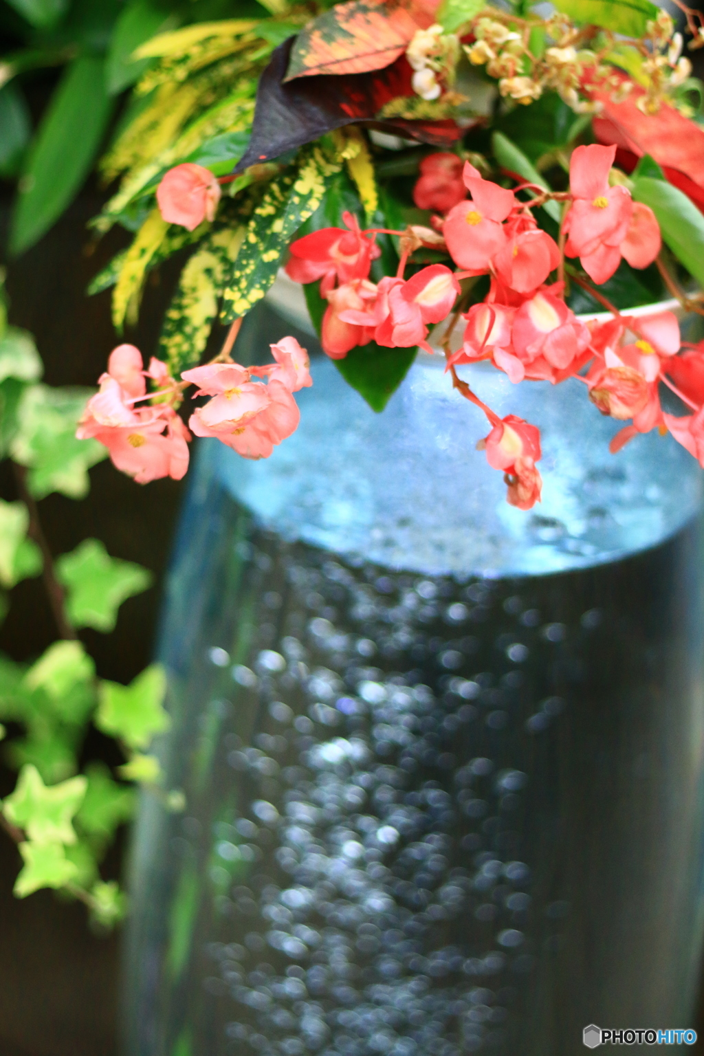 君がいるから僕が綺麗でいれる