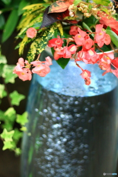 君がいるから僕が綺麗でいれる