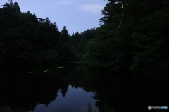明鏡止水