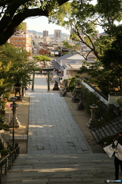帰ろう