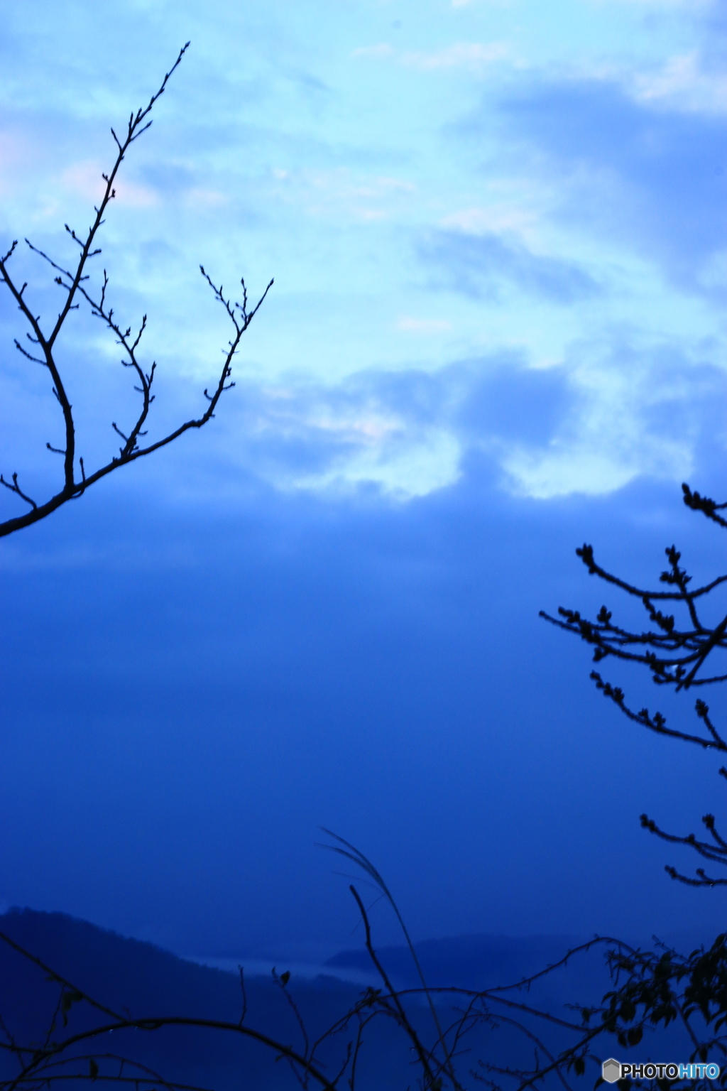 春まであと少し