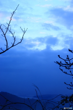 春まであと少し