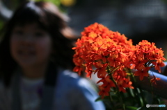 花と華