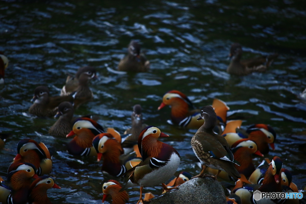 お前を一生幸せにする