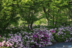 衣変え