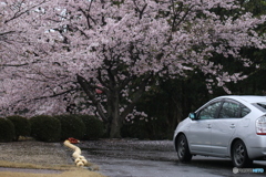 旅立つ人