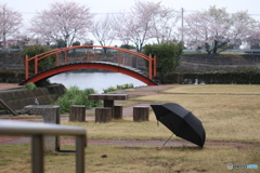 雨の日