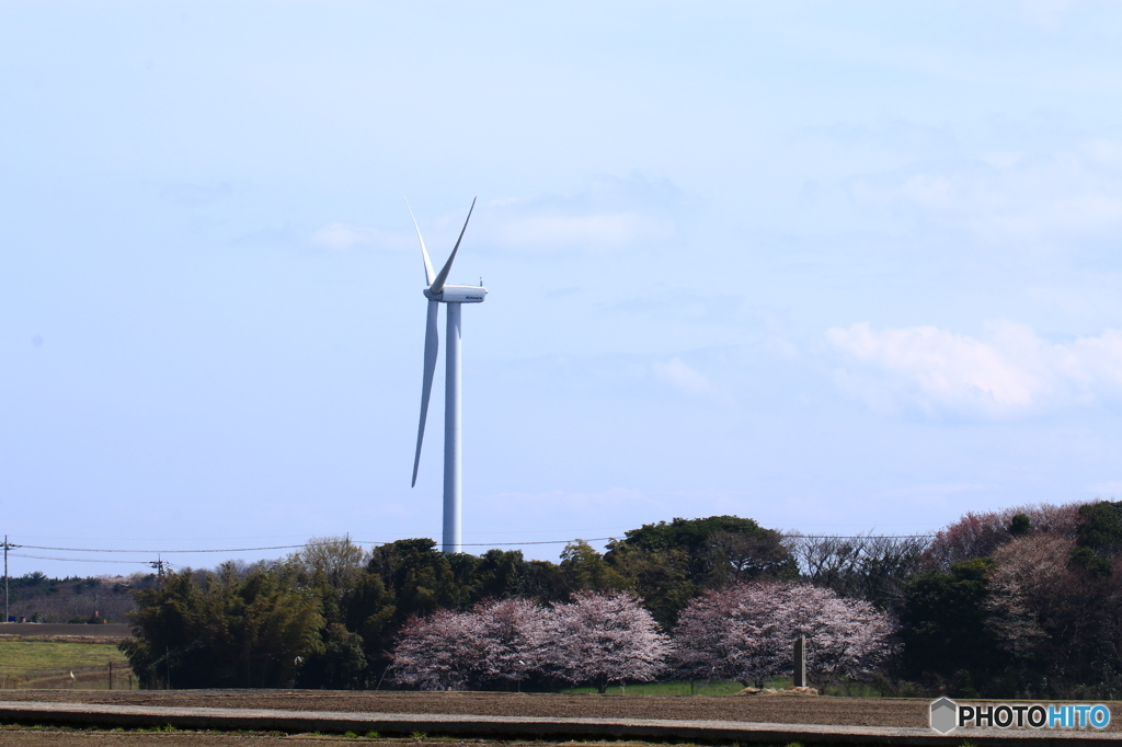 風力発電