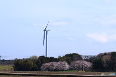 風力発電
