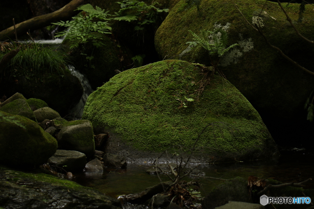 山彦の郷