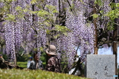 集う