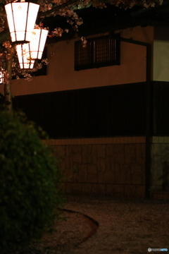 寂しさ