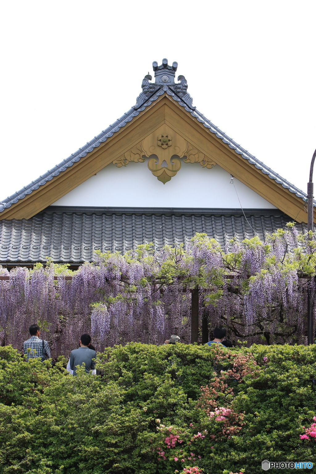 藤寺
