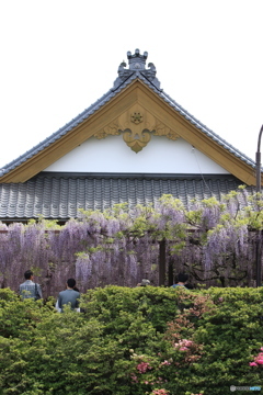 藤寺