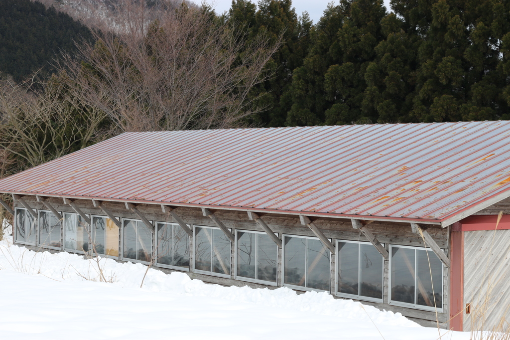 国立公園の牛舎