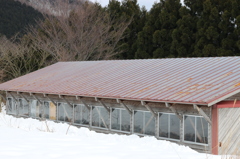 国立公園の牛舎