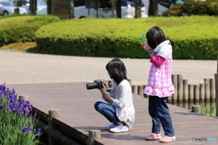 あやめを狙う