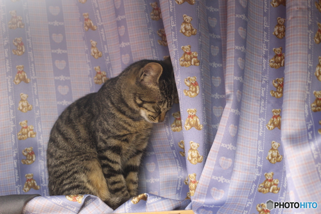 居眠り中