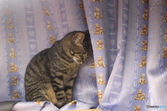 居眠り中