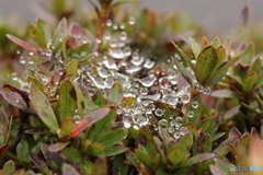 雨上がり