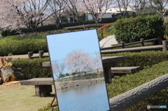鏡の世界