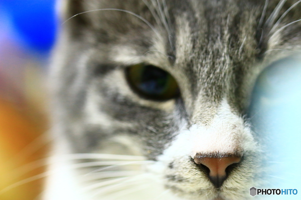 出直してきなさい。