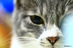 出直してきなさい。 出直してきなさい。