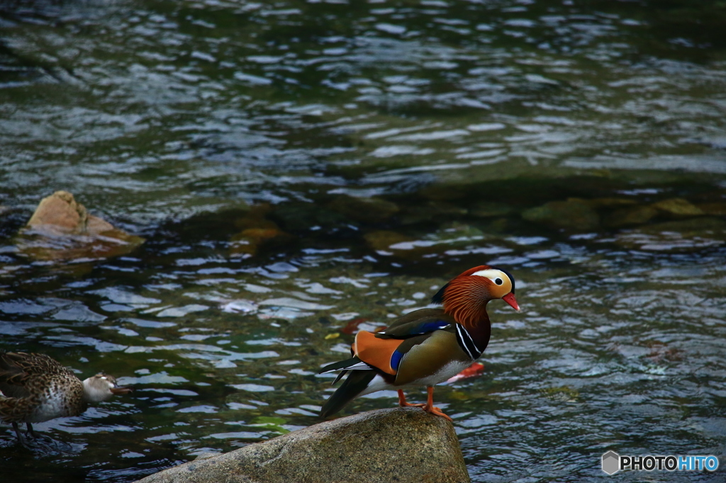 あぁー、帰ろうかな