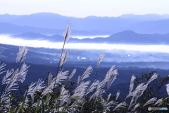 海原を夢見て