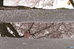 異次元