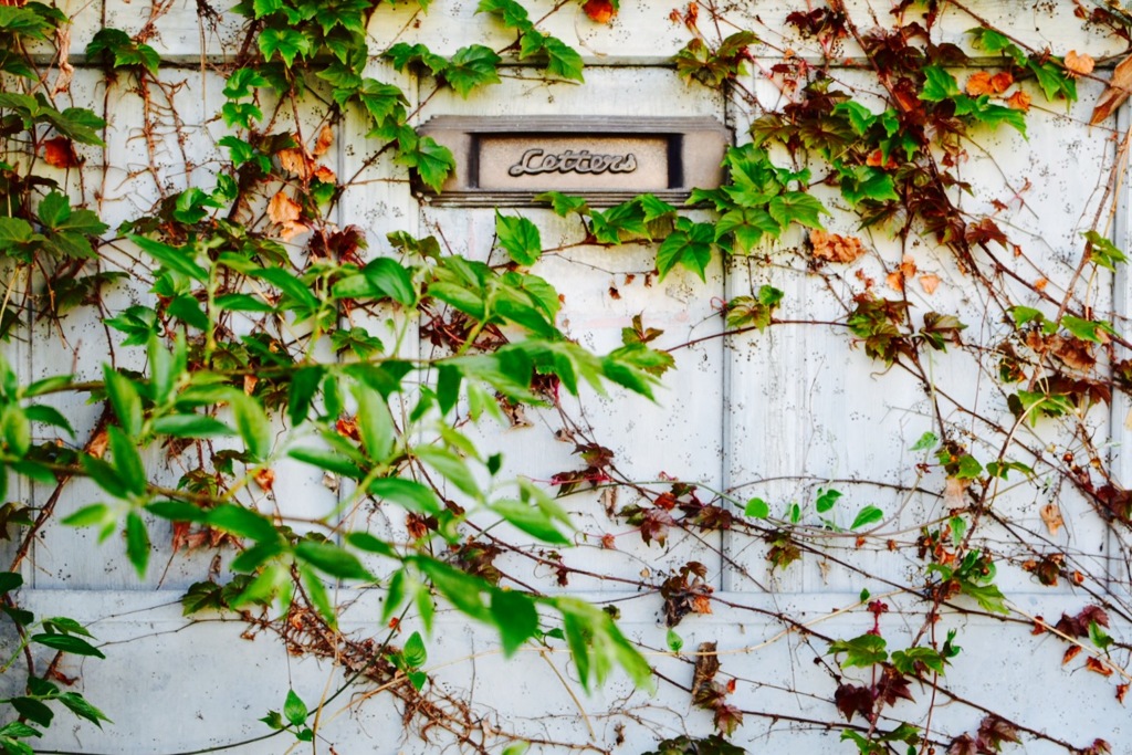 『Letters』