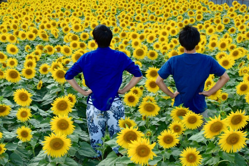 『オレ達と花達』