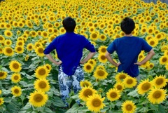 『オレ達と花達』