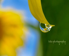 『Raindrop』