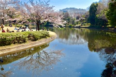 『今日も僕は　大空に手を伸ばしてみる』