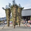 .*･ﾟ京の３大火祭り.ﾟ･*.