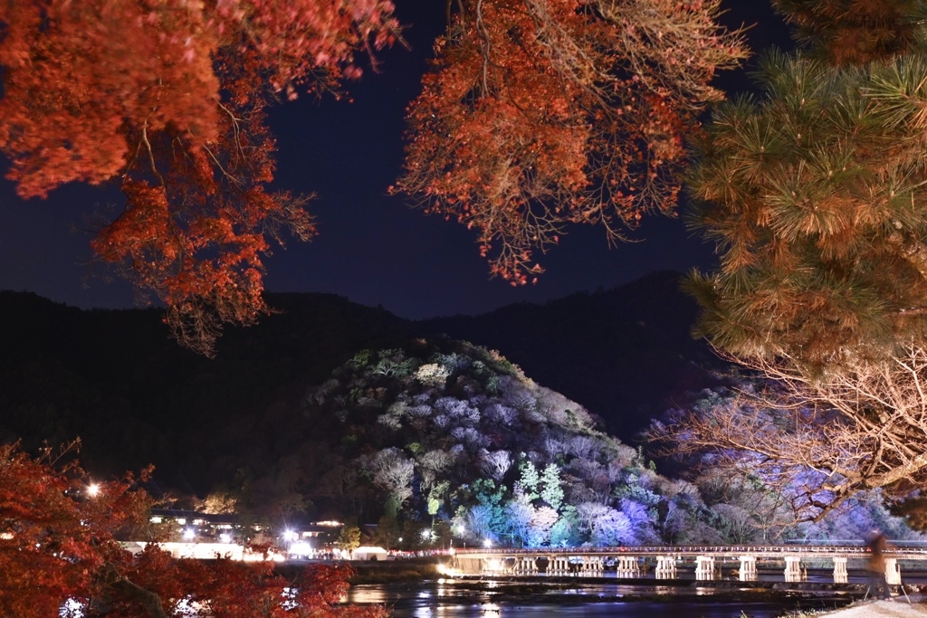 今年で最後の花灯路…ﾊﾟｼｬｯ! Σp[【◎】]ω・´)