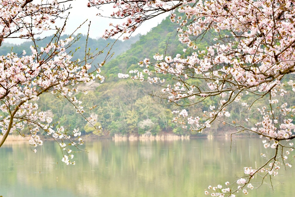 『.*✿広沢幻想❀.*』