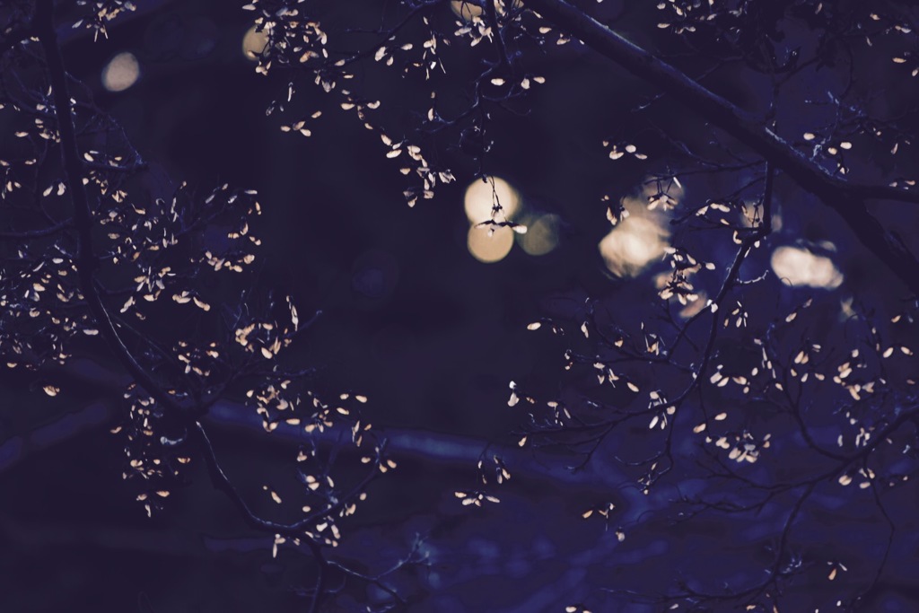 『一秒ごとに…』